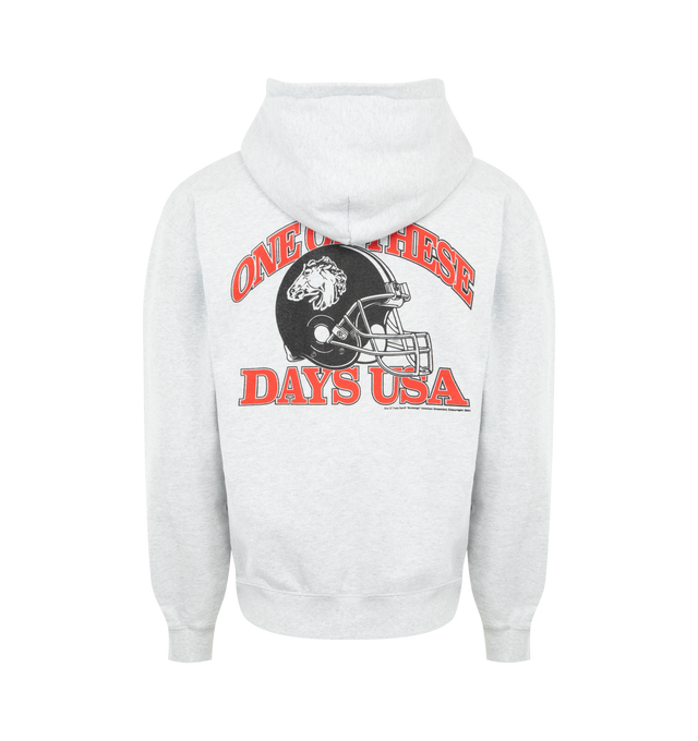 Image 2 of 2 - GREY - ONE OF THESE DAYS Days USA Zip Up Hoodie featuring a relaxed fit, fixed hood, kangaroo pocket, ribbed trims and screen-printed graphics. 100% cotton.   